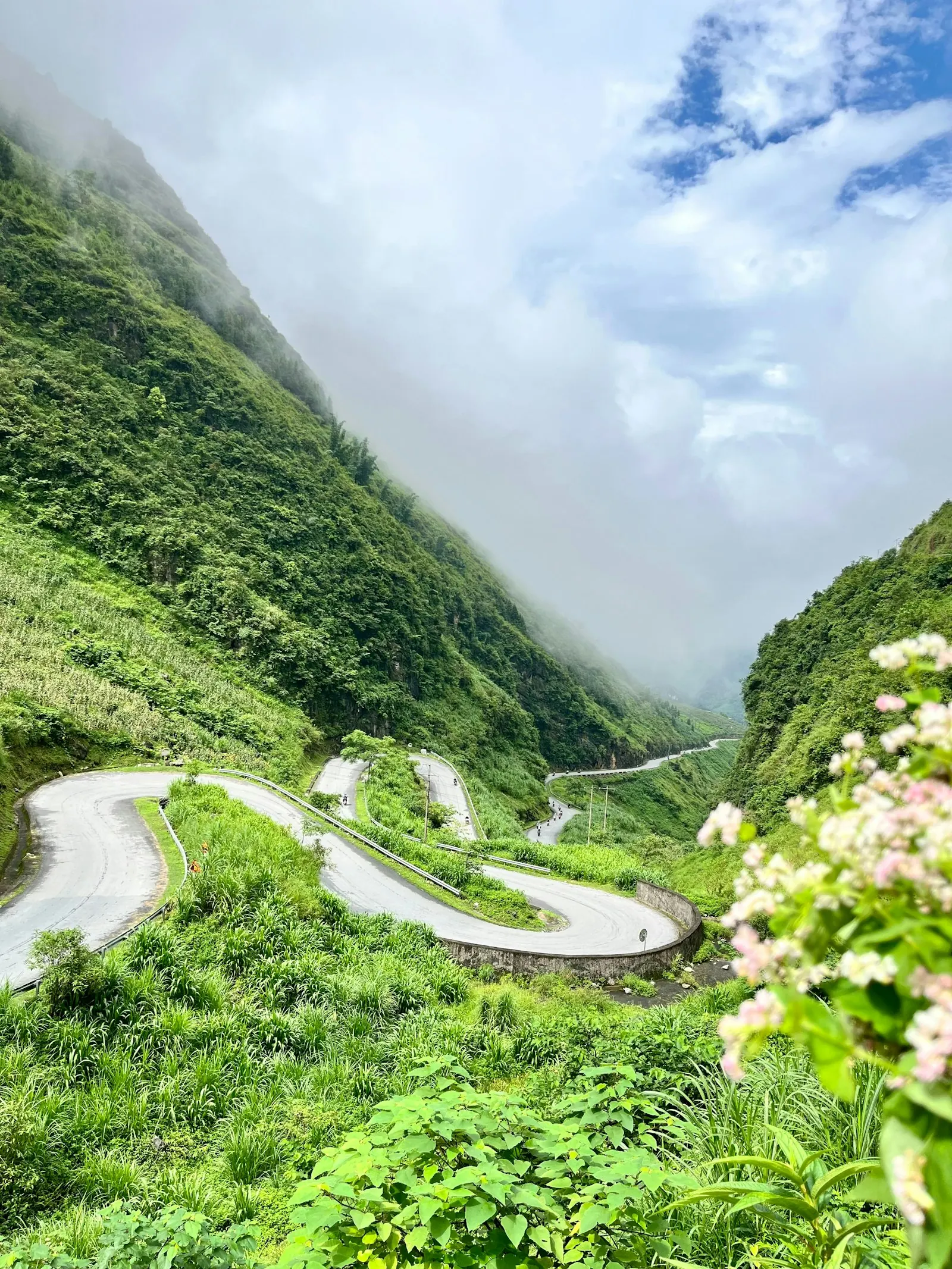 Con đường đèo uốn lượn giữa thung lũng núi đá phủ cây xanh ở Hà Giang, phía trước là những chùm hoa trắng