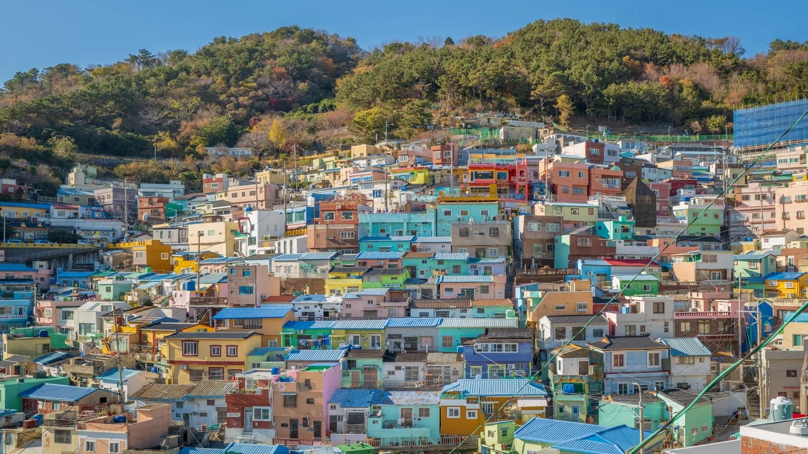 Làng văn hoá Gamcheon ở Busan với những ngôi nhà nhiều màu xếp tầng trên sườn đồi, phía sau là rừng cây chuyển màu mùa thu