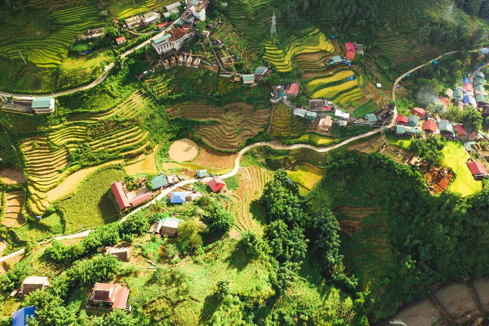 Ruộng bậc thang xanh xếp tầng trên sườn núi ở Sa Pa, những ngôi nhà mái đỏ nằm rải rác và con đường đất chạy vòng quanh sườn đồi
